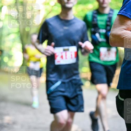 28.09.2025 - 33. Volkslauf durch das schöne Alstertal Dr. Thomas Lammeyer http://msf.ph/oto/8954793 28.09.2025 10:39:44 Laufen 2 meine-sportfotos.de