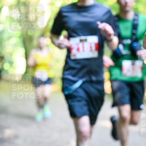 28.09.2025 - 33. Volkslauf durch das schöne Alstertal Dr. Thomas Lammeyer http://msf.ph/oto/8954794 28.09.2025 10:39:44 Laufen  meine-sportfotos.de
