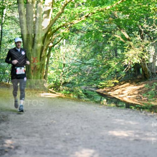 28.09.2025 - 33. Volkslauf durch das schöne Alstertal Dr. Thomas Lammeyer http://msf.ph/oto/8954806 28.09.2025 10:39:47 Laufen  meine-sportfotos.de