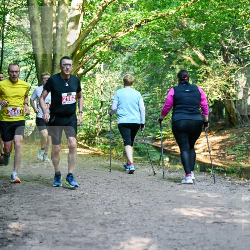 28.09.2025 - 33. Volkslauf durch das schöne Alstertal Dr. Thomas Lammeyer http://msf.ph/oto/8954827 28.09.2025 10:39:55 Laufen 29, 2648, 2162 meine-sportfotos.de