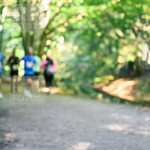 28.09.2025 - 33. Volkslauf durch das schöne Alstertal Dr. Thomas Lammeyer http://msf.ph/oto/8954862 28.09.2025 10:39:59 Laufen  meine-sportfotos.de