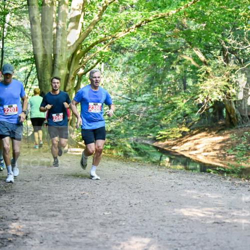 28.09.2025 - 33. Volkslauf durch das schöne Alstertal Dr. Thomas Lammeyer http://msf.ph/oto/8954869 28.09.2025 10:40:01 Laufen 2597, 2207, 2340, 2386 meine-sportfotos.de
