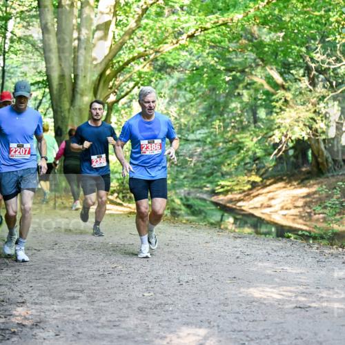 28.09.2025 - 33. Volkslauf durch das schöne Alstertal Dr. Thomas Lammeyer http://msf.ph/oto/8954872 28.09.2025 10:40:01 Laufen 2207, 2340, 2386 meine-sportfotos.de