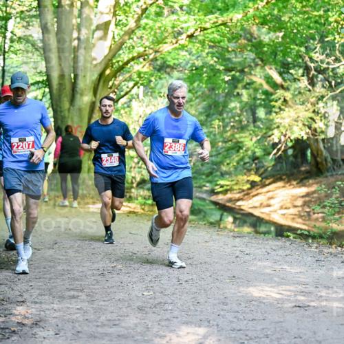 28.09.2025 - 33. Volkslauf durch das schöne Alstertal Dr. Thomas Lammeyer http://msf.ph/oto/8954873 28.09.2025 10:40:01 Laufen 2207, 2340, 2386 meine-sportfotos.de