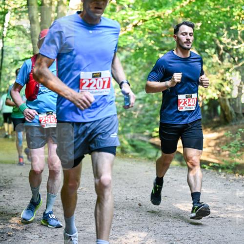 28.09.2025 - 33. Volkslauf durch das schöne Alstertal Dr. Thomas Lammeyer http://msf.ph/oto/8954888 28.09.2025 10:40:03 Laufen 256, 2207, 2340 meine-sportfotos.de