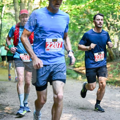 28.09.2025 - 33. Volkslauf durch das schöne Alstertal Dr. Thomas Lammeyer http://msf.ph/oto/8954889 28.09.2025 10:40:03 Laufen 2563, 2207, 2340 meine-sportfotos.de