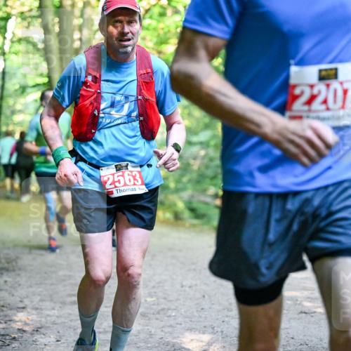 28.09.2025 - 33. Volkslauf durch das schöne Alstertal Dr. Thomas Lammeyer http://msf.ph/oto/8954893 28.09.2025 10:40:04 Laufen 2563, 2207, 2340 meine-sportfotos.de