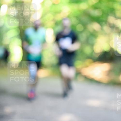 28.09.2025 - 33. Volkslauf durch das schöne Alstertal Dr. Thomas Lammeyer http://msf.ph/oto/8954903 28.09.2025 10:40:05 Laufen  meine-sportfotos.de