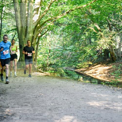 28.09.2025 - 33. Volkslauf durch das schöne Alstertal Dr. Thomas Lammeyer http://msf.ph/oto/8954913 28.09.2025 10:40:09 Laufen 255, 2638, 929, 2300 meine-sportfotos.de