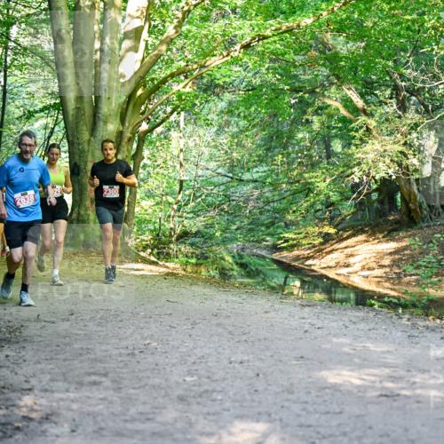 28.09.2025 - 33. Volkslauf durch das schöne Alstertal Dr. Thomas Lammeyer http://msf.ph/oto/8954914 28.09.2025 10:40:09 Laufen 2638, 2300, 25 meine-sportfotos.de