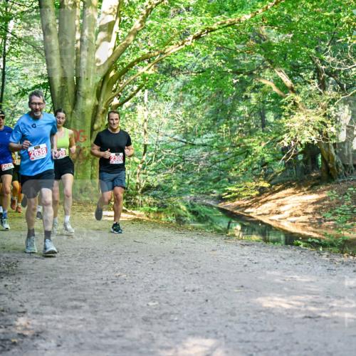 28.09.2025 - 33. Volkslauf durch das schöne Alstertal Dr. Thomas Lammeyer http://msf.ph/oto/8954919 28.09.2025 10:40:10 Laufen 516, 2590, 2638, 29, 2300 meine-sportfotos.de