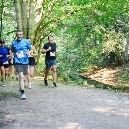 28.09.2025 - 33. Volkslauf durch das schöne Alstertal Dr. Thomas Lammeyer http://msf.ph/oto/8954924 28.09.2025 10:40:10 Laufen 2590, 2638 meine-sportfotos.de