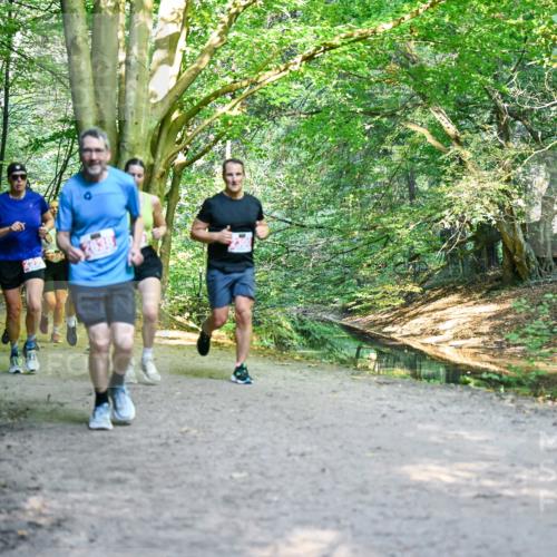 28.09.2025 - 33. Volkslauf durch das schöne Alstertal Dr. Thomas Lammeyer http://msf.ph/oto/8954925 28.09.2025 10:40:11 Laufen 2516 meine-sportfotos.de