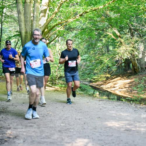 28.09.2025 - 33. Volkslauf durch das schöne Alstertal Dr. Thomas Lammeyer http://msf.ph/oto/8954927 28.09.2025 10:40:11 Laufen 2516, 2590, 259, 2300 meine-sportfotos.de