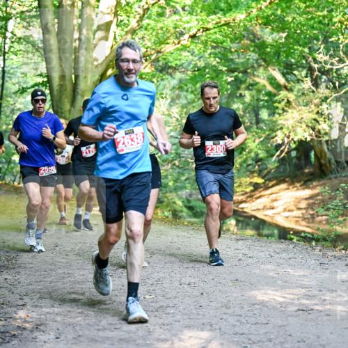 28.09.2025 - 33. Volkslauf durch das schöne Alstertal Dr. Thomas Lammeyer http://msf.ph/oto/8954932 28.09.2025 10:40:12 Laufen 2590, 2176, 2638, 2300 meine-sportfotos.de