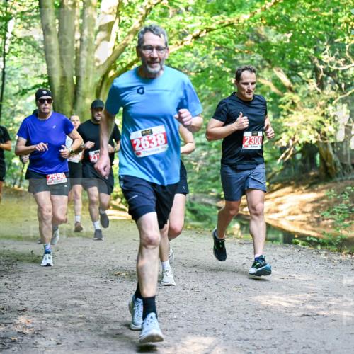 28.09.2025 - 33. Volkslauf durch das schöne Alstertal Dr. Thomas Lammeyer http://msf.ph/oto/8954934 28.09.2025 10:40:12 Laufen 2590, 2638, 2300 meine-sportfotos.de