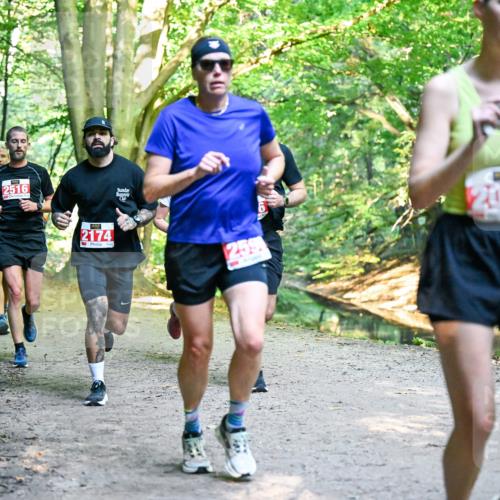 28.09.2025 - 33. Volkslauf durch das schöne Alstertal Dr. Thomas Lammeyer http://msf.ph/oto/8954944 28.09.2025 10:40:13 Laufen 2516, 2174, 59, 2029 meine-sportfotos.de