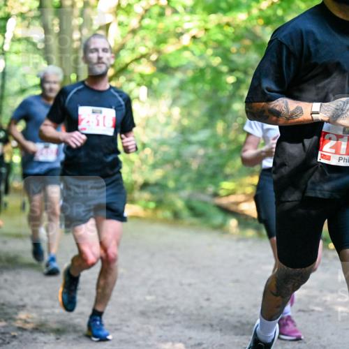 28.09.2025 - 33. Volkslauf durch das schöne Alstertal Dr. Thomas Lammeyer http://msf.ph/oto/8954952 28.09.2025 10:40:15 Laufen 31, 2174, 0 meine-sportfotos.de