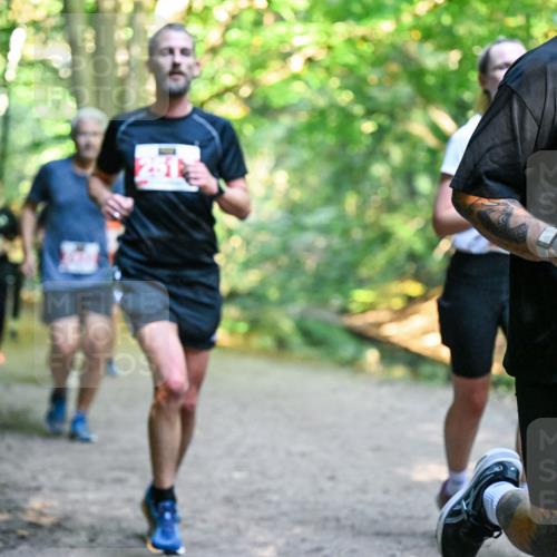 28.09.2025 - 33. Volkslauf durch das schöne Alstertal Dr. Thomas Lammeyer http://msf.ph/oto/8954953 28.09.2025 10:40:15 Laufen 74 meine-sportfotos.de