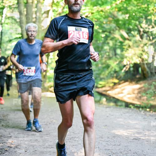 28.09.2025 - 33. Volkslauf durch das schöne Alstertal Dr. Thomas Lammeyer http://msf.ph/oto/8954955 28.09.2025 10:40:16 Laufen 2432, 2516, 259 meine-sportfotos.de