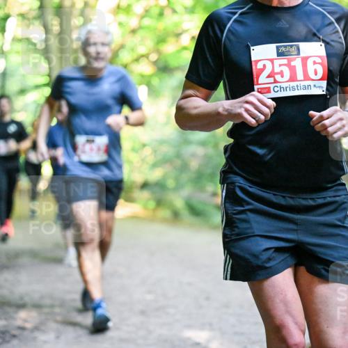 28.09.2025 - 33. Volkslauf durch das schöne Alstertal Dr. Thomas Lammeyer http://msf.ph/oto/8954958 28.09.2025 10:40:16 Laufen 2516 meine-sportfotos.de