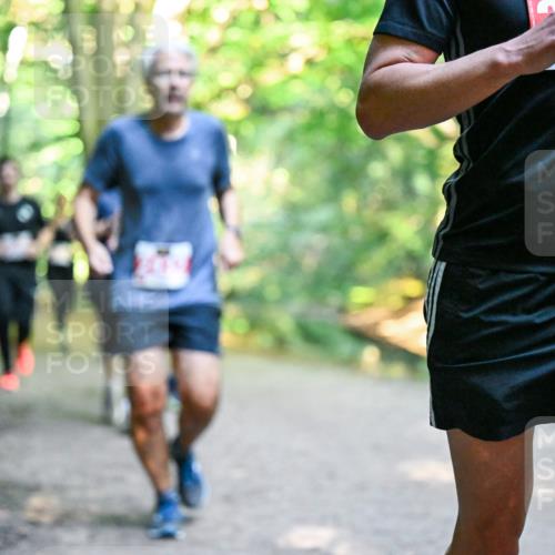 28.09.2025 - 33. Volkslauf durch das schöne Alstertal Dr. Thomas Lammeyer http://msf.ph/oto/8954959 28.09.2025 10:40:16 Laufen 16 meine-sportfotos.de
