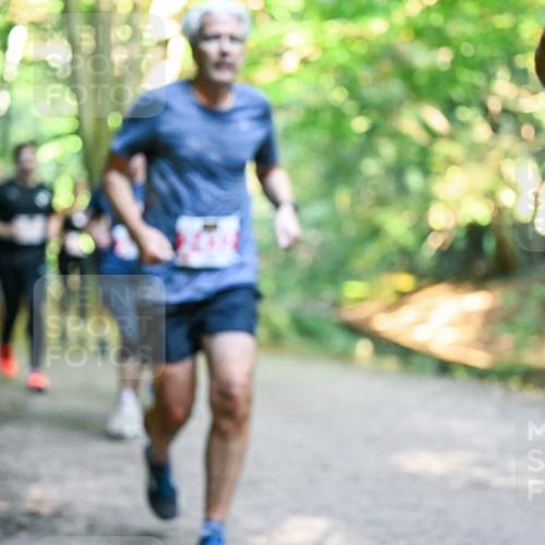 28.09.2025 - 33. Volkslauf durch das schöne Alstertal Dr. Thomas Lammeyer http://msf.ph/oto/8954961 28.09.2025 10:40:17 Laufen  meine-sportfotos.de