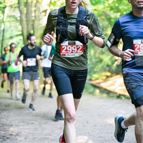 28.09.2025 - 33. Volkslauf durch das schöne Alstertal Dr. Thomas Lammeyer http://msf.ph/oto/8954978 28.09.2025 10:40:20 Laufen 2992, 2993 meine-sportfotos.de