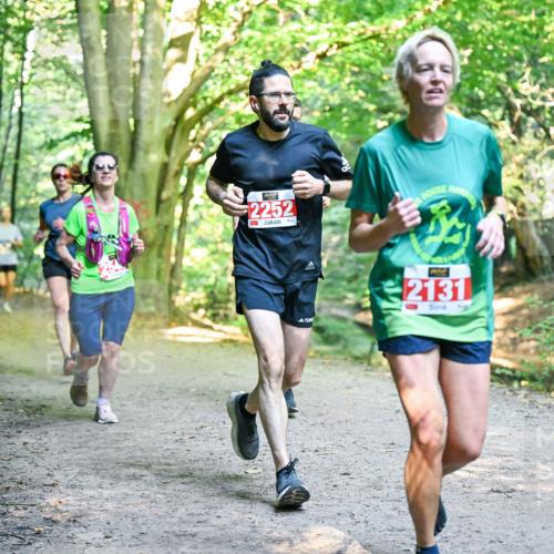 28.09.2025 - 33. Volkslauf durch das schöne Alstertal Dr. Thomas Lammeyer http://msf.ph/oto/8954983 28.09.2025 10:40:21 Laufen 2252, 2, 2131 meine-sportfotos.de