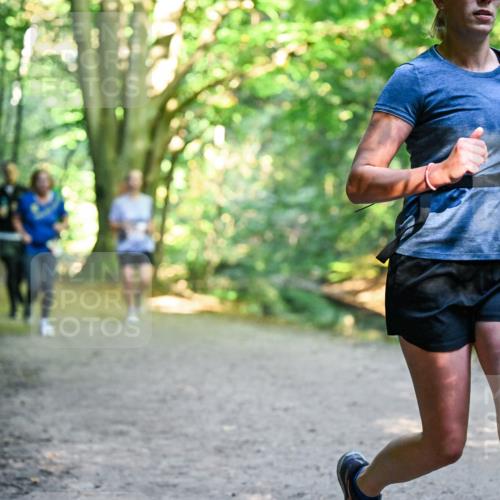 28.09.2025 - 33. Volkslauf durch das schöne Alstertal Dr. Thomas Lammeyer http://msf.ph/oto/8954996 28.09.2025 10:40:24 Laufen  meine-sportfotos.de