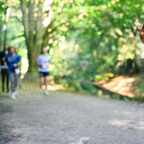 28.09.2025 - 33. Volkslauf durch das schöne Alstertal Dr. Thomas Lammeyer http://msf.ph/oto/8954998 28.09.2025 10:40:25 Laufen  meine-sportfotos.de