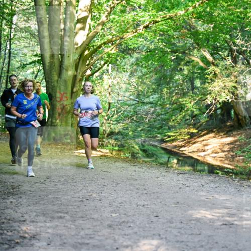 28.09.2025 - 33. Volkslauf durch das schöne Alstertal Dr. Thomas Lammeyer http://msf.ph/oto/8955000 28.09.2025 10:40:25 Laufen 2456 meine-sportfotos.de