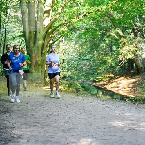 28.09.2025 - 33. Volkslauf durch das schöne Alstertal Dr. Thomas Lammeyer http://msf.ph/oto/8955001 28.09.2025 10:40:25 Laufen 154, 2456 meine-sportfotos.de