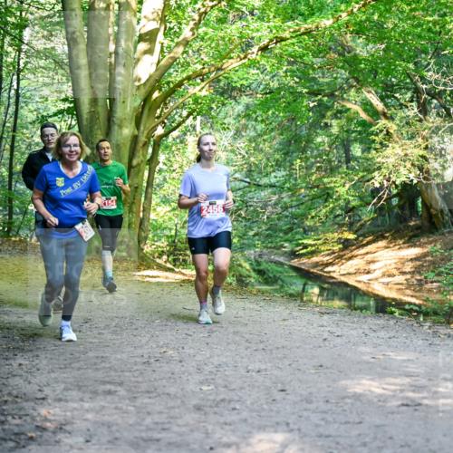 28.09.2025 - 33. Volkslauf durch das schöne Alstertal Dr. Thomas Lammeyer http://msf.ph/oto/8955005 28.09.2025 10:40:26 Laufen 2154, 2456 meine-sportfotos.de
