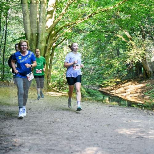 28.09.2025 - 33. Volkslauf durch das schöne Alstertal Dr. Thomas Lammeyer http://msf.ph/oto/8955007 28.09.2025 10:40:26 Laufen 2154 meine-sportfotos.de
