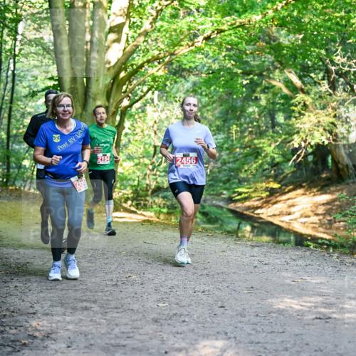 28.09.2025 - 33. Volkslauf durch das schöne Alstertal Dr. Thomas Lammeyer http://msf.ph/oto/8955009 28.09.2025 10:40:26 Laufen 2154, 2456 meine-sportfotos.de