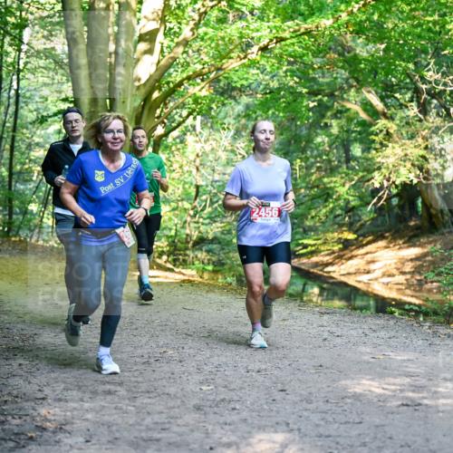 28.09.2025 - 33. Volkslauf durch das schöne Alstertal Dr. Thomas Lammeyer http://msf.ph/oto/8955010 28.09.2025 10:40:27 Laufen 2456 meine-sportfotos.de