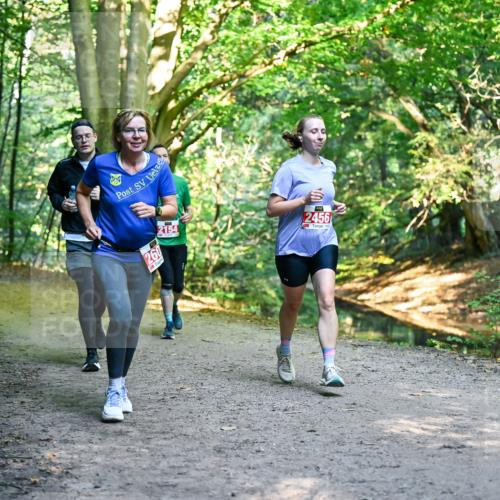 28.09.2025 - 33. Volkslauf durch das schöne Alstertal Dr. Thomas Lammeyer http://msf.ph/oto/8955011 28.09.2025 10:40:27 Laufen 260, 2154, 2456 meine-sportfotos.de
