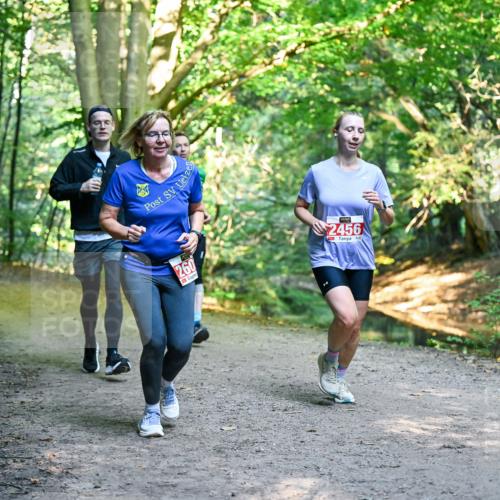 28.09.2025 - 33. Volkslauf durch das schöne Alstertal Dr. Thomas Lammeyer http://msf.ph/oto/8955013 28.09.2025 10:40:27 Laufen 260, 2456 meine-sportfotos.de