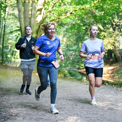 28.09.2025 - 33. Volkslauf durch das schöne Alstertal Dr. Thomas Lammeyer http://msf.ph/oto/8955015 28.09.2025 10:40:27 Laufen 260, 456 meine-sportfotos.de