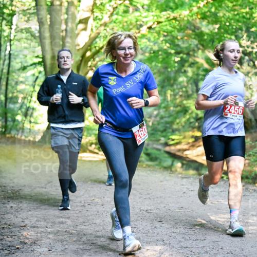 28.09.2025 - 33. Volkslauf durch das schöne Alstertal Dr. Thomas Lammeyer http://msf.ph/oto/8955018 28.09.2025 10:40:28 Laufen 260, 2456 meine-sportfotos.de