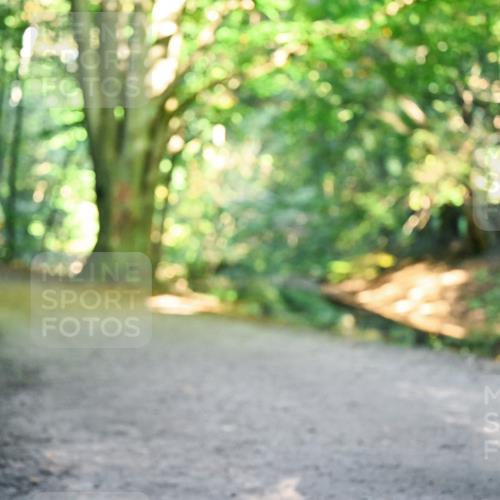 28.09.2025 - 33. Volkslauf durch das schöne Alstertal Dr. Thomas Lammeyer http://msf.ph/oto/8955032 28.09.2025 10:40:30 Laufen  meine-sportfotos.de