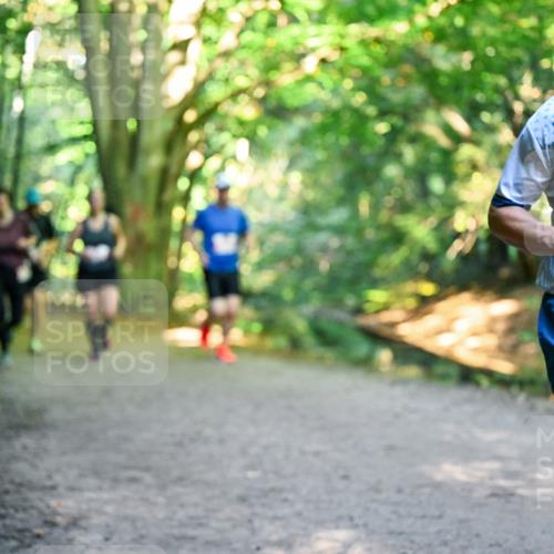 28.09.2025 - 33. Volkslauf durch das schöne Alstertal Dr. Thomas Lammeyer http://msf.ph/oto/8955052 28.09.2025 10:40:36 Laufen 2228 meine-sportfotos.de