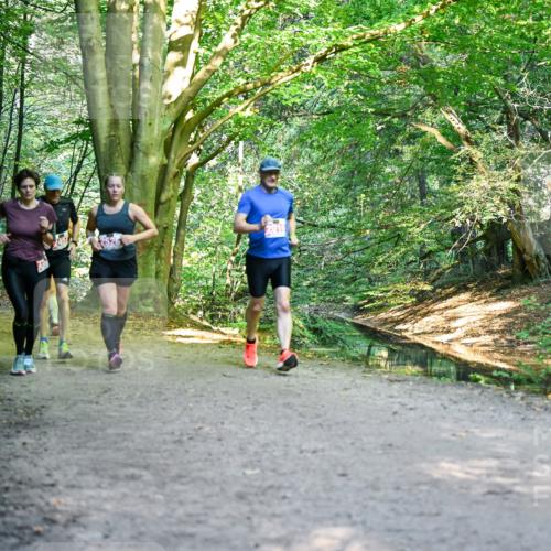 28.09.2025 - 33. Volkslauf durch das schöne Alstertal Dr. Thomas Lammeyer http://msf.ph/oto/8955053 28.09.2025 10:40:36 Laufen  meine-sportfotos.de