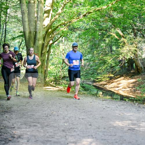 28.09.2025 - 33. Volkslauf durch das schöne Alstertal Dr. Thomas Lammeyer http://msf.ph/oto/8955054 28.09.2025 10:40:36 Laufen 253, 2457, 2016 meine-sportfotos.de