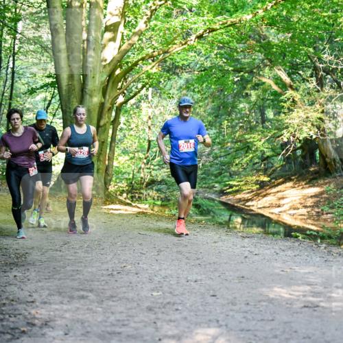 28.09.2025 - 33. Volkslauf durch das schöne Alstertal Dr. Thomas Lammeyer http://msf.ph/oto/8955055 28.09.2025 10:40:36 Laufen 526, 253, 2016 meine-sportfotos.de