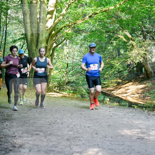 28.09.2025 - 33. Volkslauf durch das schöne Alstertal Dr. Thomas Lammeyer http://msf.ph/oto/8955058 28.09.2025 10:40:37 Laufen 2314, 2457 meine-sportfotos.de
