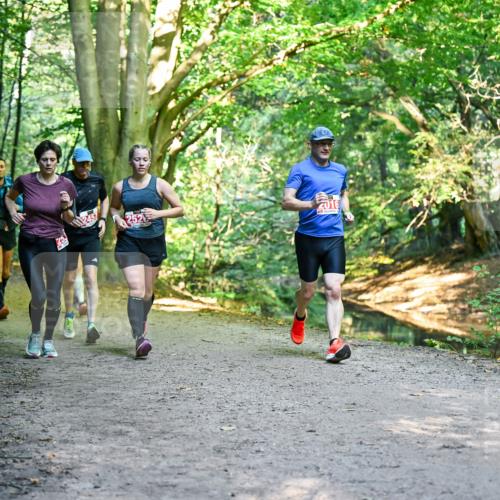 28.09.2025 - 33. Volkslauf durch das schöne Alstertal Dr. Thomas Lammeyer http://msf.ph/oto/8955059 28.09.2025 10:40:37 Laufen 253, 2457, 252, 2016 meine-sportfotos.de