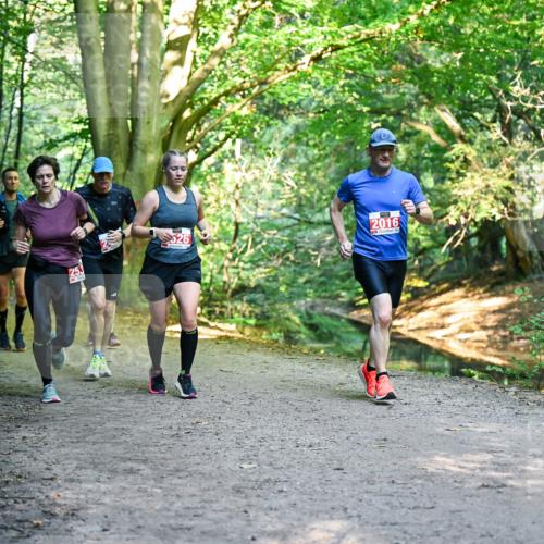 28.09.2025 - 33. Volkslauf durch das schöne Alstertal Dr. Thomas Lammeyer http://msf.ph/oto/8955061 28.09.2025 10:40:37 Laufen 526, 1253, 2016 meine-sportfotos.de