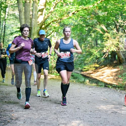 28.09.2025 - 33. Volkslauf durch das schöne Alstertal Dr. Thomas Lammeyer http://msf.ph/oto/8955069 28.09.2025 10:40:38 Laufen 2457, 2526, 2016 meine-sportfotos.de